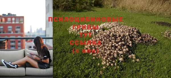 альфа пвп Волосово