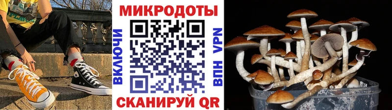 где купить наркоту  Инта  Псилоцибиновые грибы MAGIC MUSHROOMS 