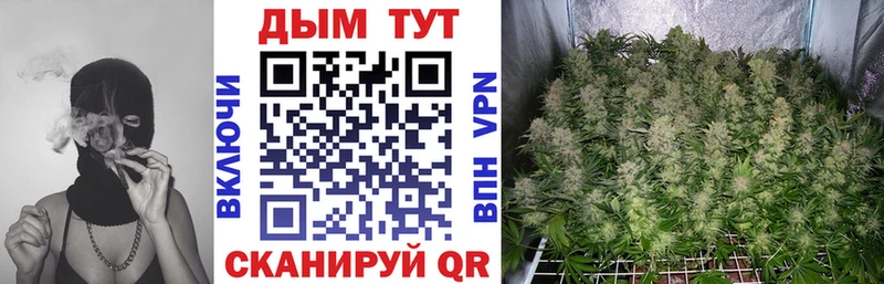 Бошки Шишки Amnesia  наркотики  Инта 